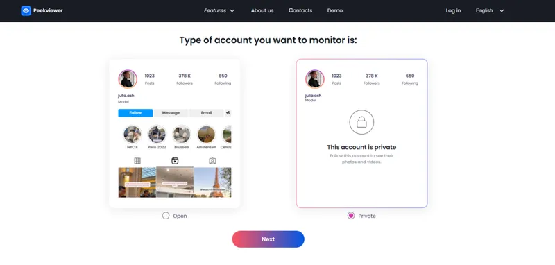 Using Peekviewer to save private Instagram content. Choose the profile type (public or private) and confirm.