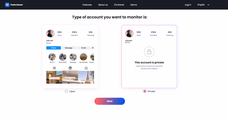 How to use Peekviewer: choosing IG account type