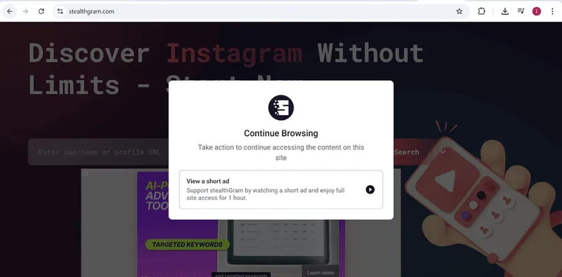 Instagram Viewer Stealthgram: How it works