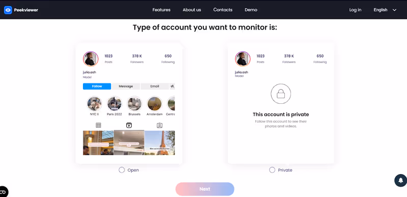 How to Use Peekviewer Blocked Instagram Account Viewer - choose account type How to Use Peekviewer Blocked Instagram Account Viewer - choose account type
