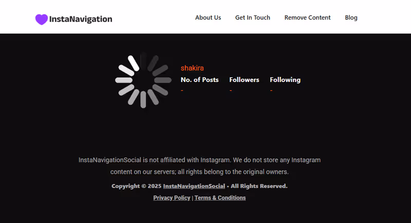 Instanavigation website bad operation, reviewed by Peekviewer